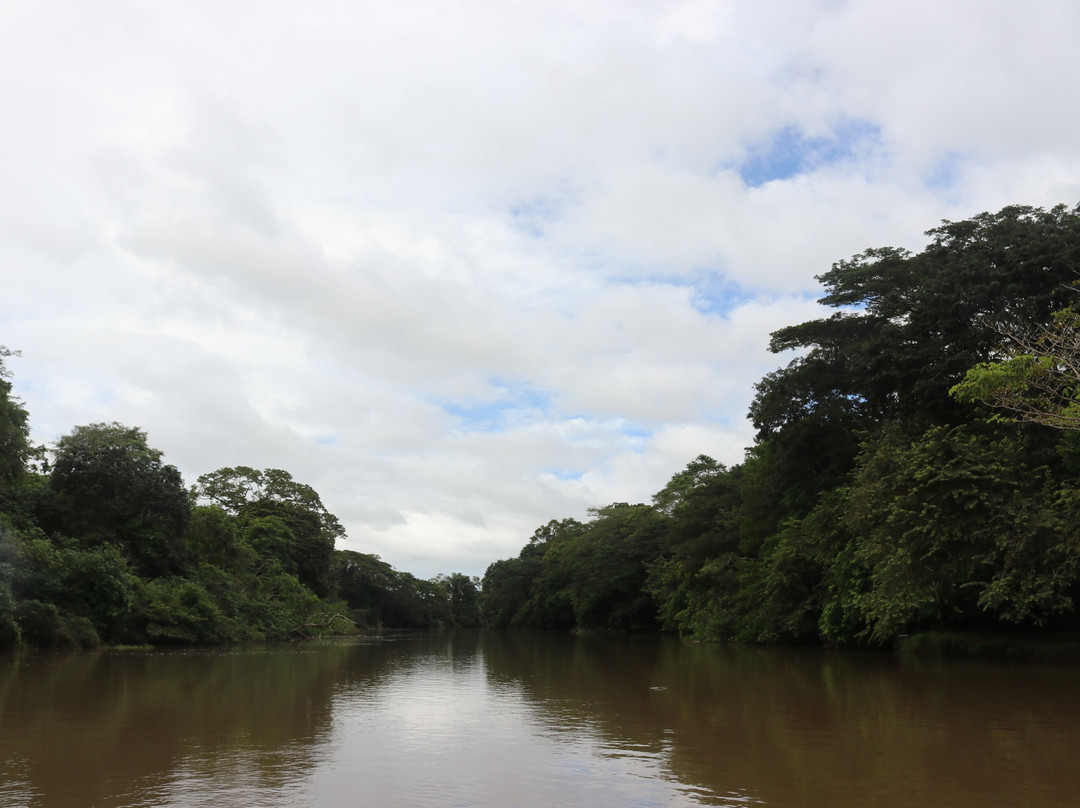 Caño Negro Wildlife Refuge-Cano Negro必去景点