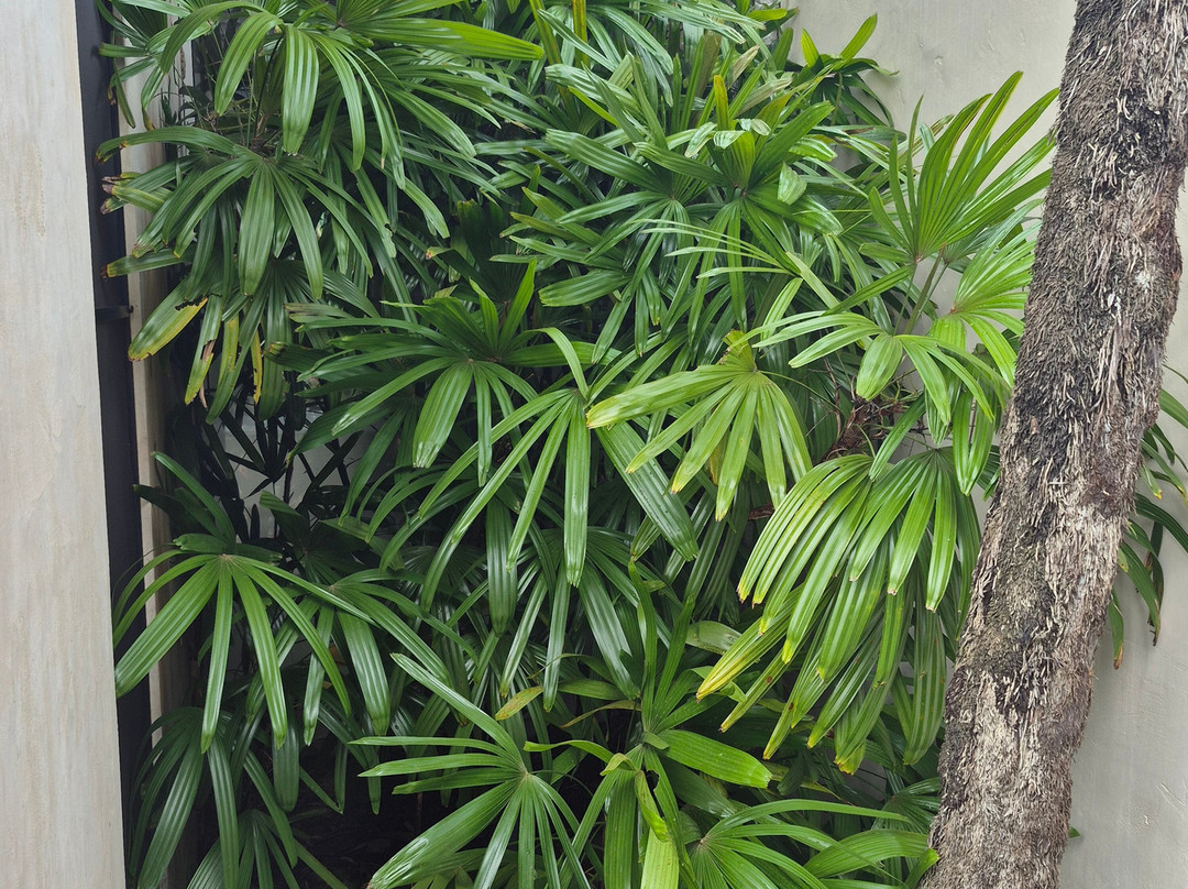 尼拉马亚别墅和Spa酒店主图