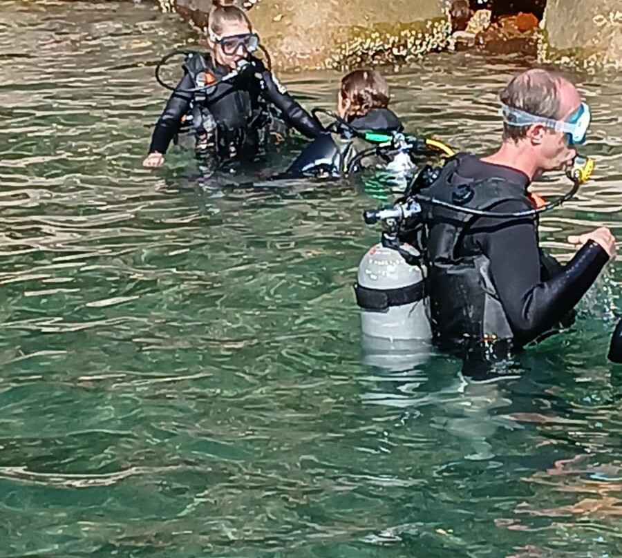 海豚礁-埃拉特必去景点