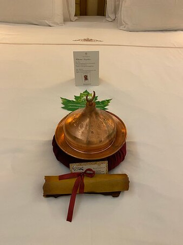 苏塔尼亚酒店主图