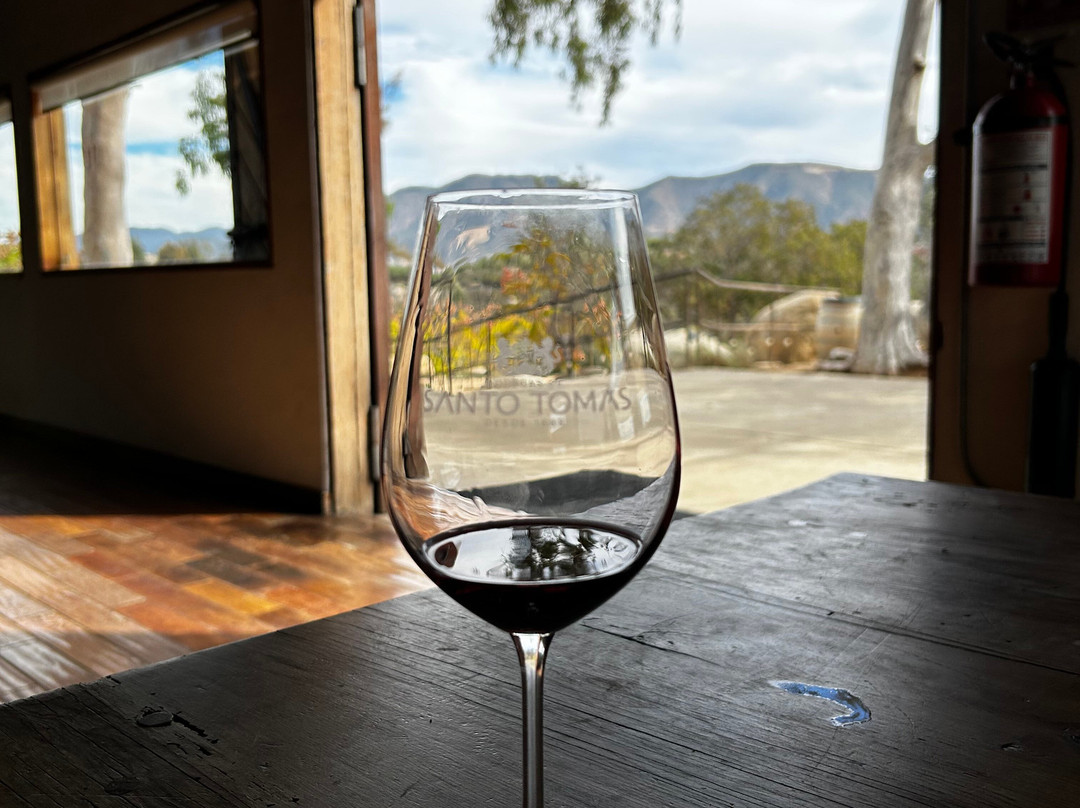 Bodegas De Santo Tomás-恩塞纳达必去景点