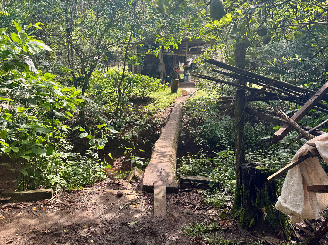 Azuero Adventures-Cambutal必去景点