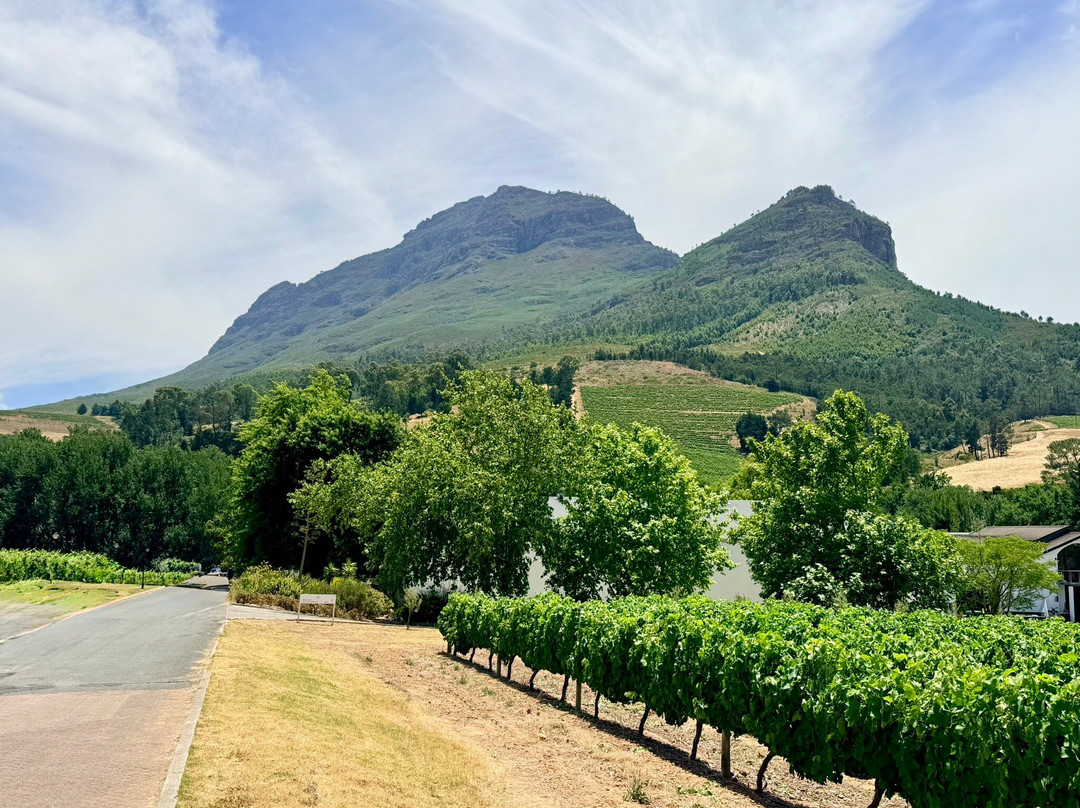 Zorgvliet Wine Estate-斯泰伦博斯必去景点