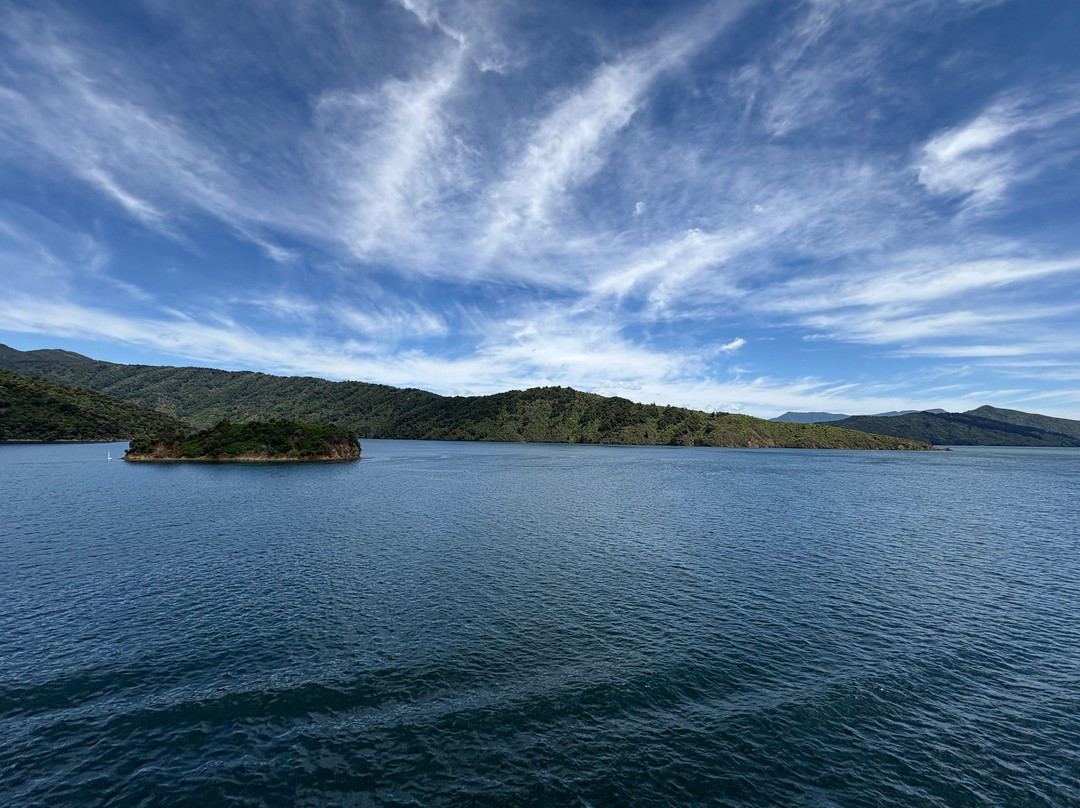 Interislander-皮克顿必去景点