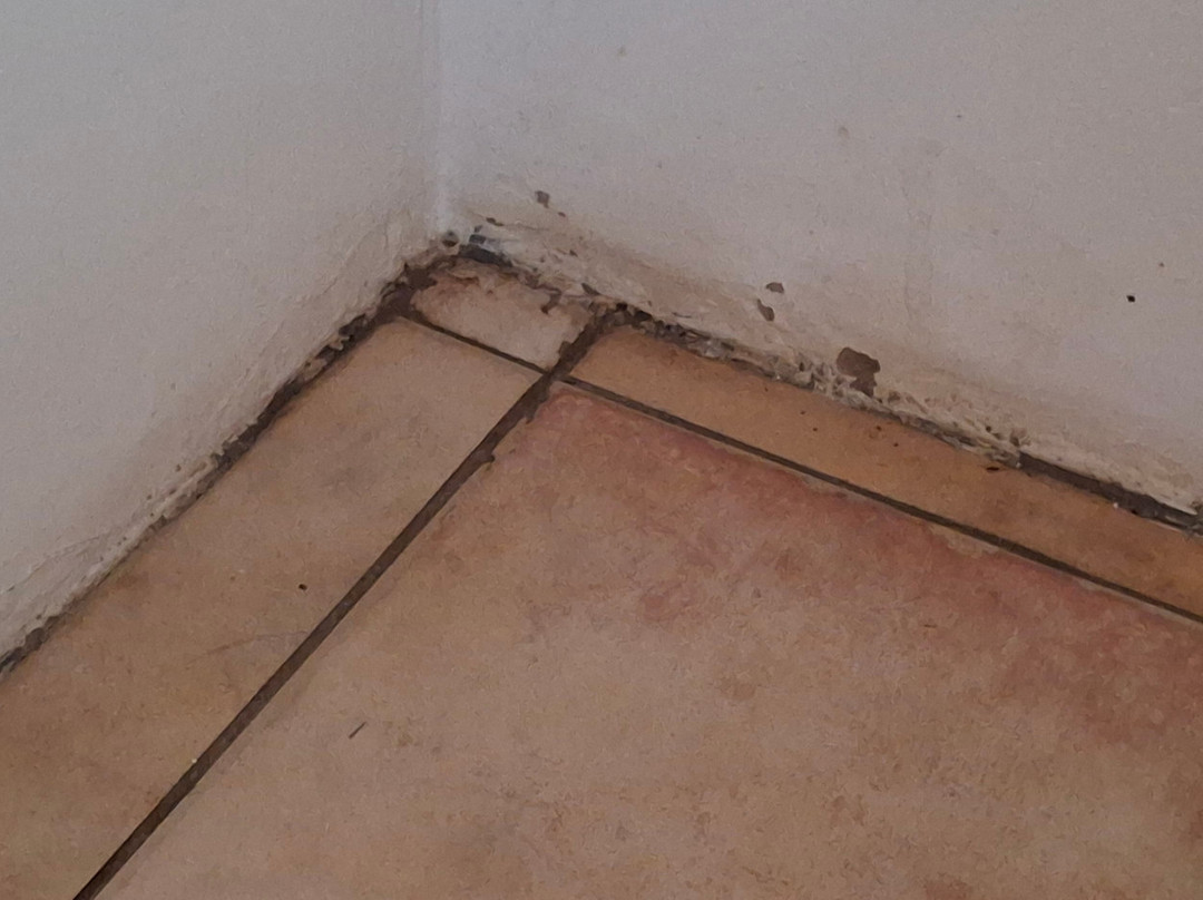 Olive Tree Farm主图