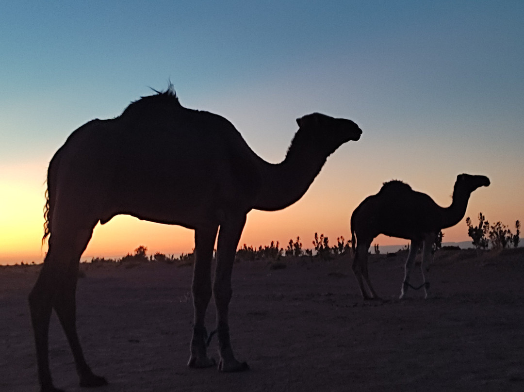 Sahara Steps-扎古拉必去景点