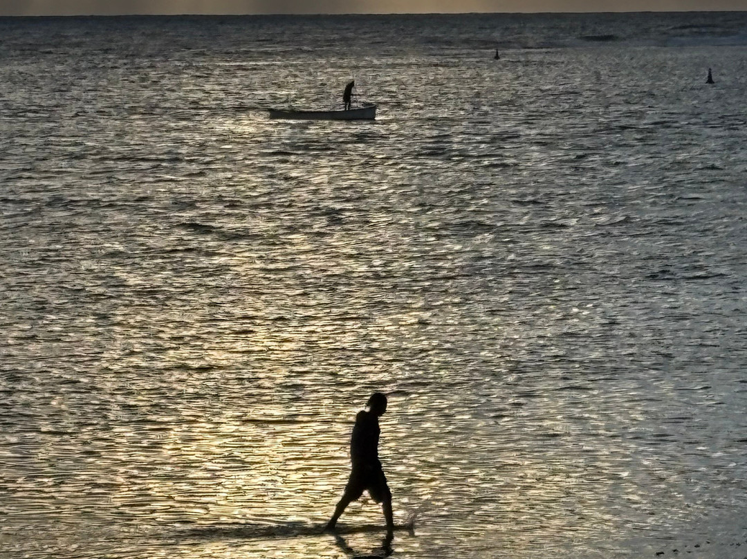 Constance Tekoma主图