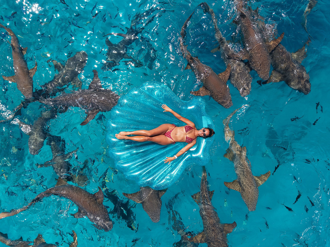 iCom Tours-马富士岛必去景点