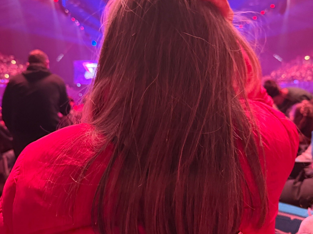 OVO Arena Wembley-温布利必去景点