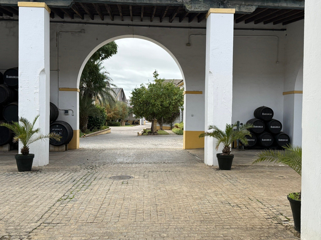 Bodegas Barbadillo-Sanlucar de Barrameda必去景点