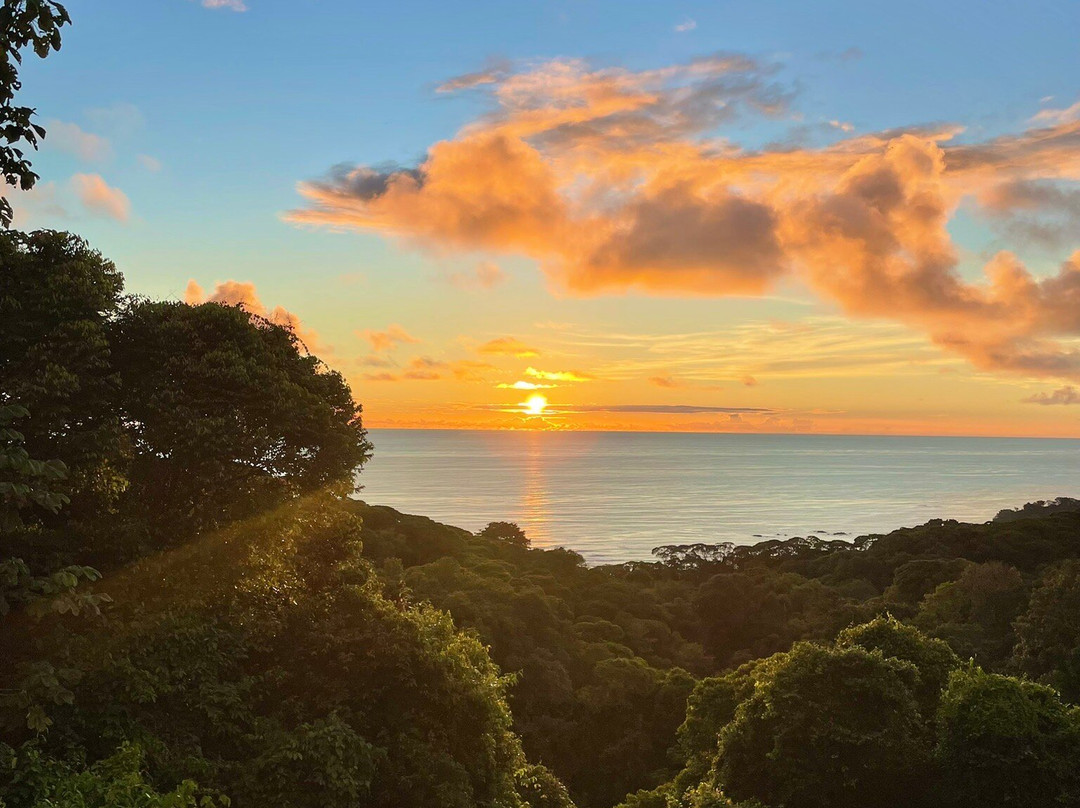 Alturas Wildlife Sanctuary-主日镇必去景点