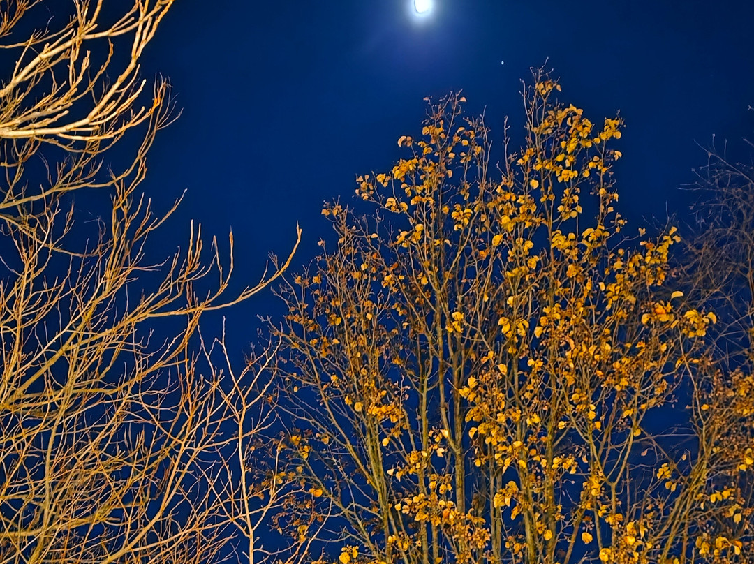 Wm Farmer and Sons Boarding & Barroom主图