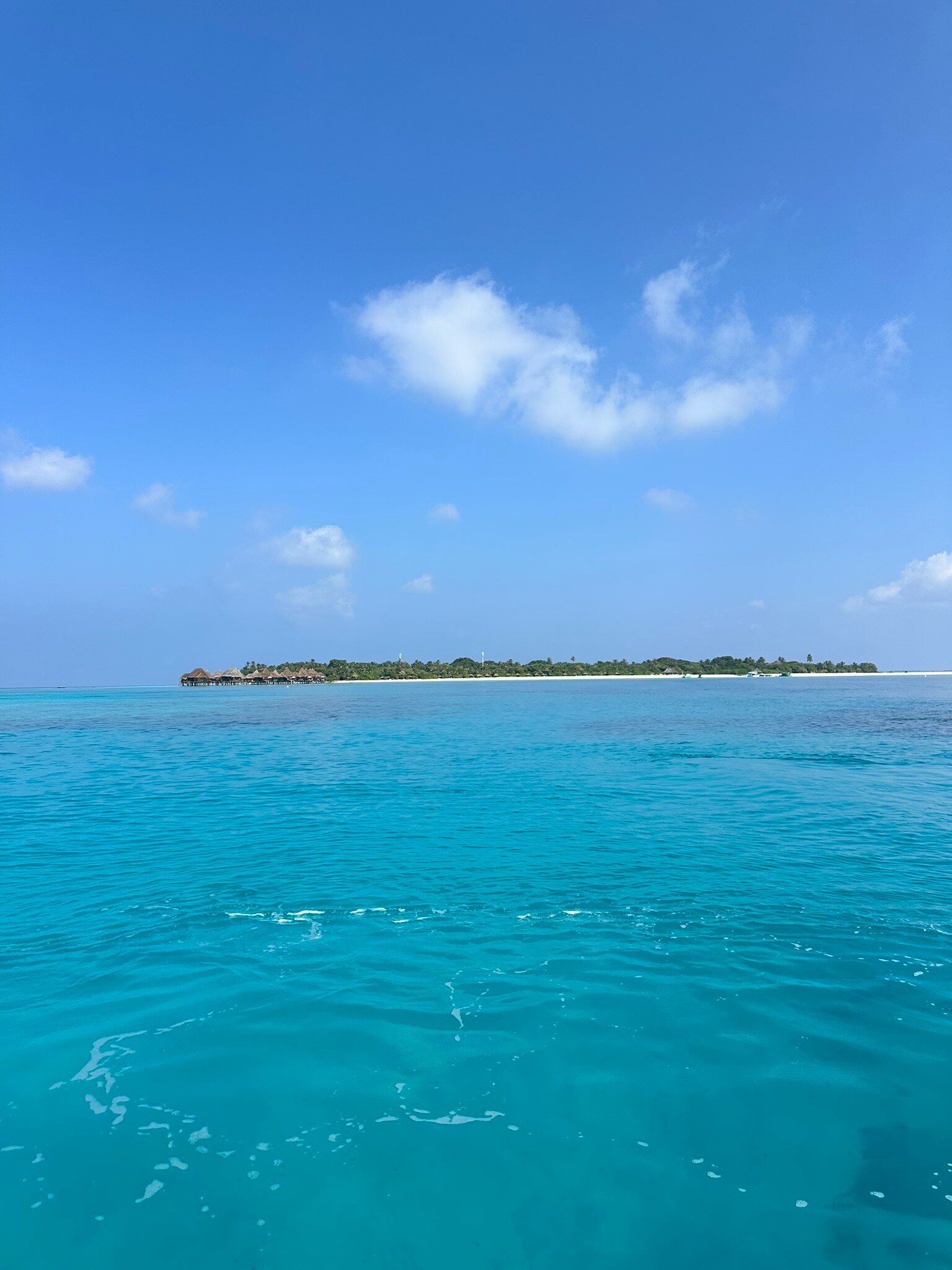 柯可棕榈杜妮科酒店-官方