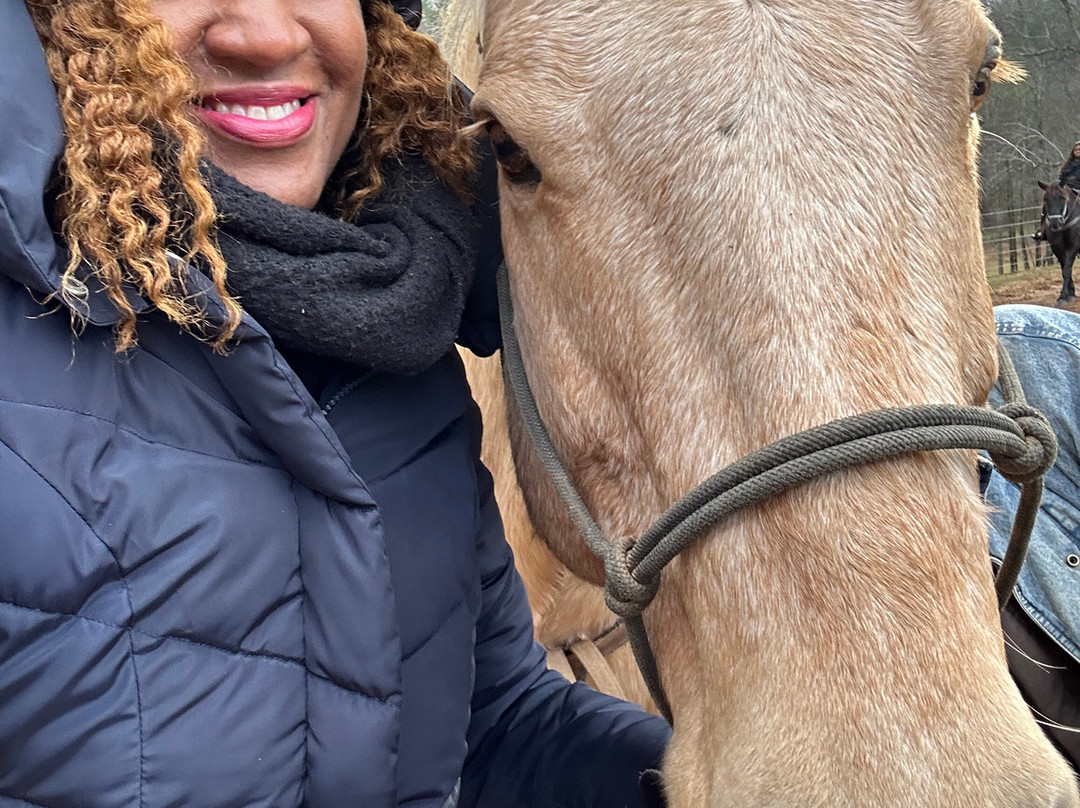 Appalachian Trail Rides-Mineral Bluff必去景点