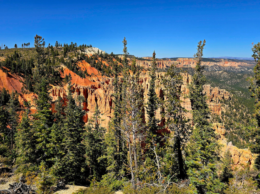 Rainbow Point-布莱斯峡谷国家公园必去景点