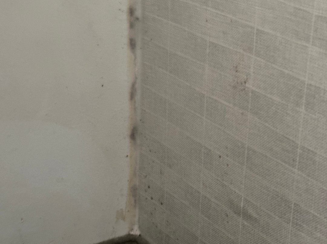 SpringHill Suites by Marriott Houston Sugar Land主图