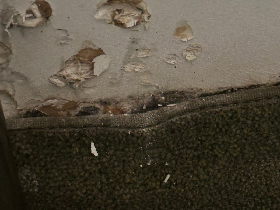 SpringHill Suites by Marriott Houston Sugar Land主图