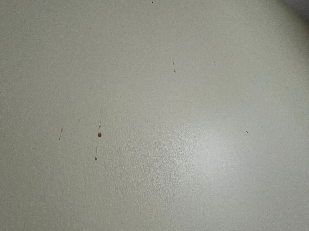 巴里速8酒店主图