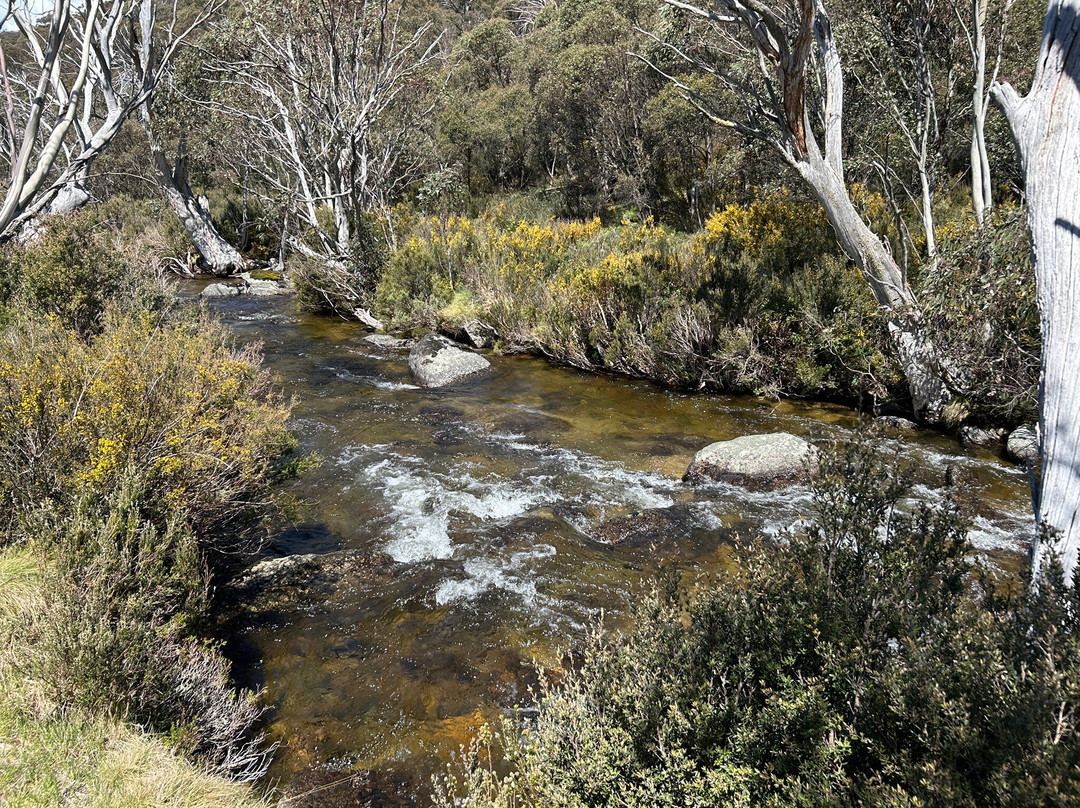 Fun Over Fifty-布里斯班必去景点