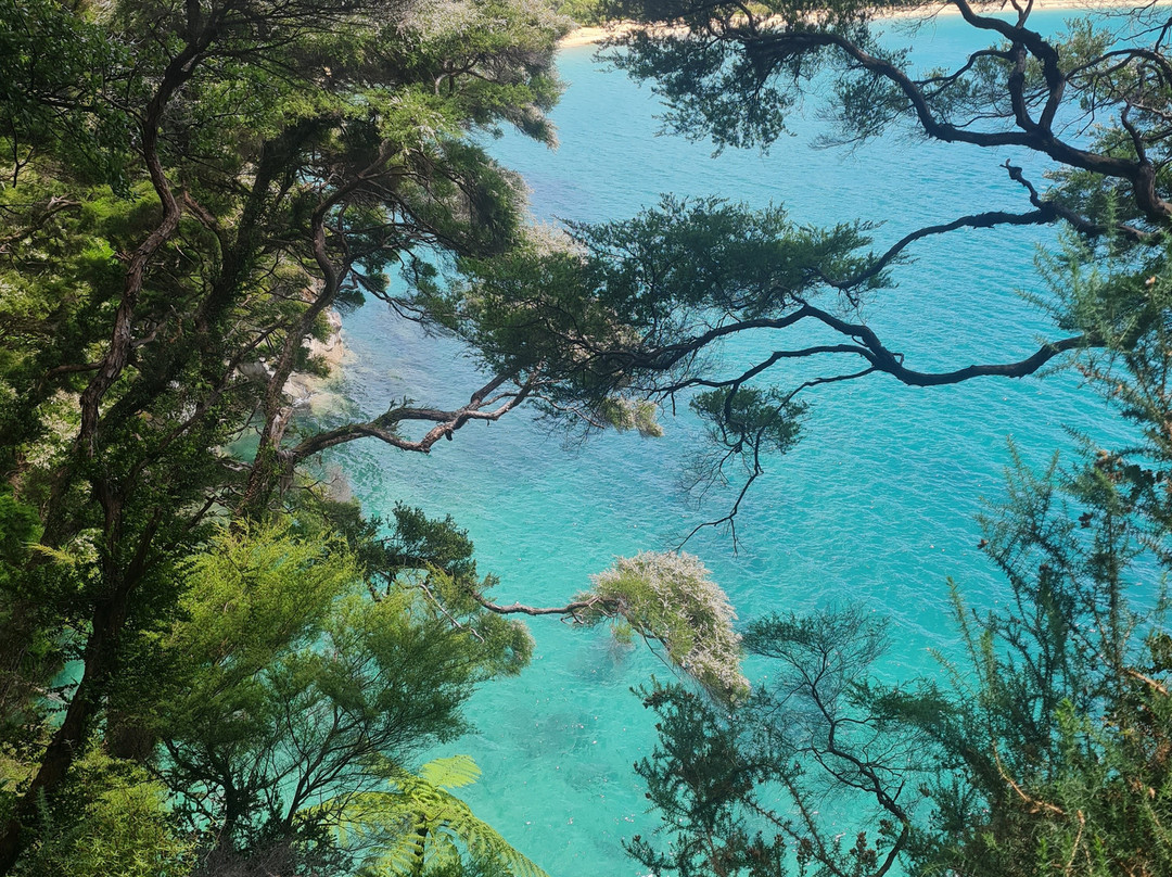 Abel Tasman Guides-玛拉豪必去景点