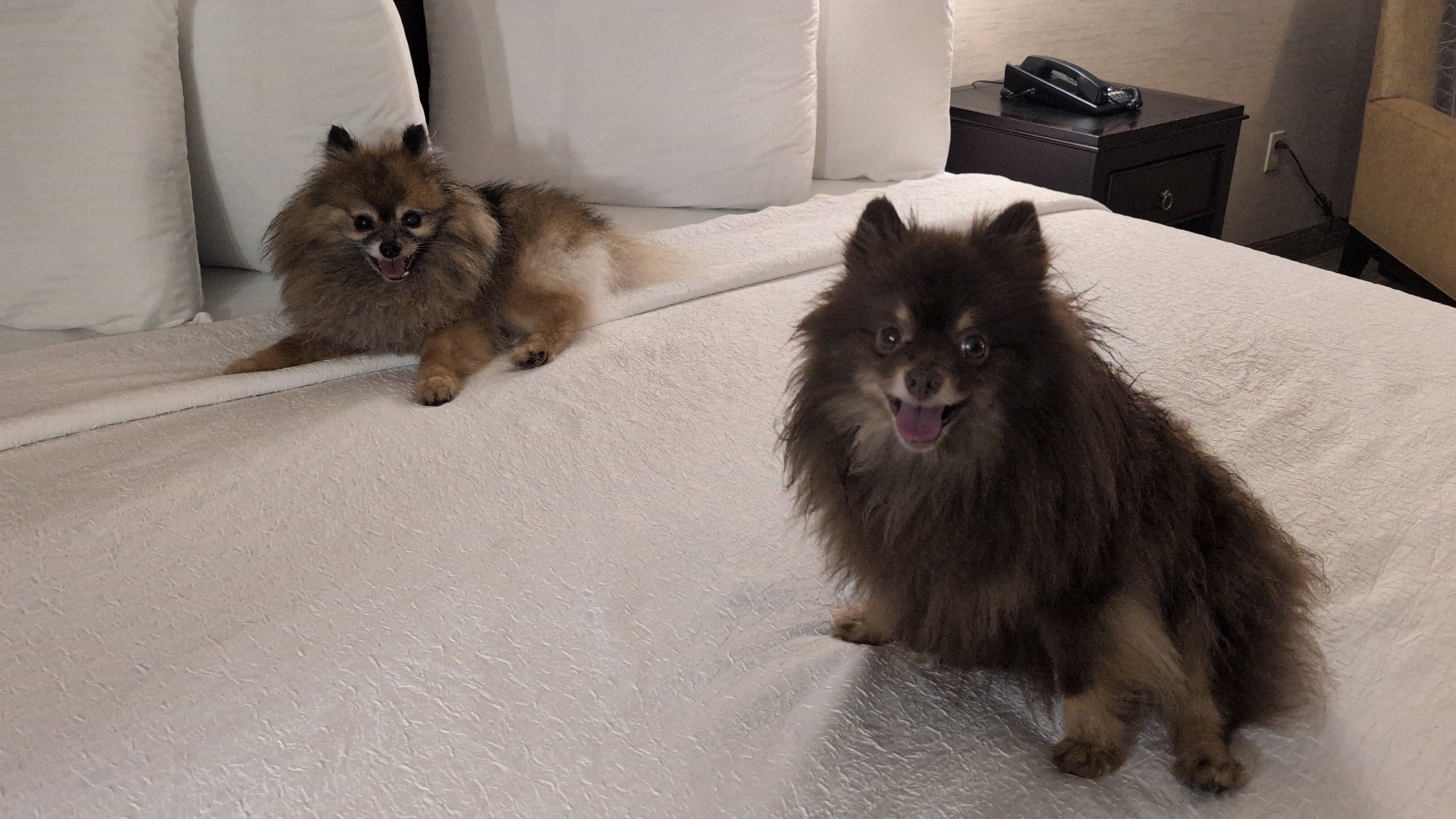 东门贝尔维尤银云酒店-官方