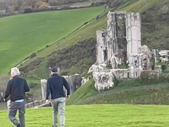 Purbeck Safari-韦勒姆必去景点