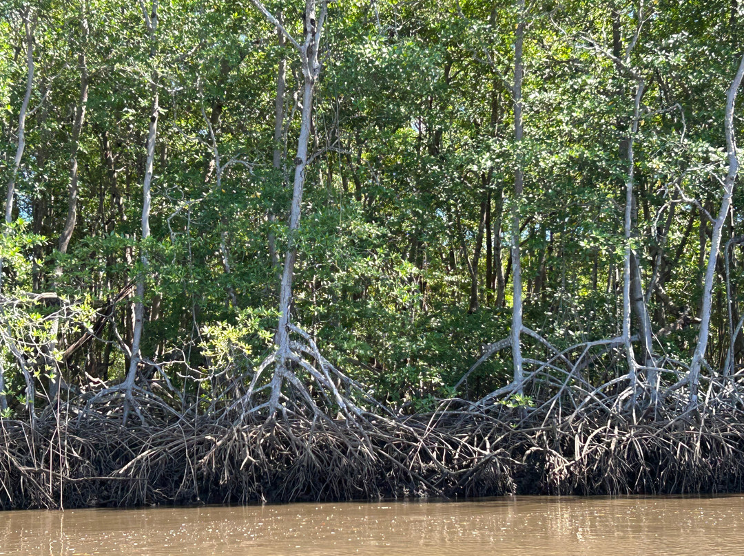 Life Time Travel-萨迪纳尔必去景点
