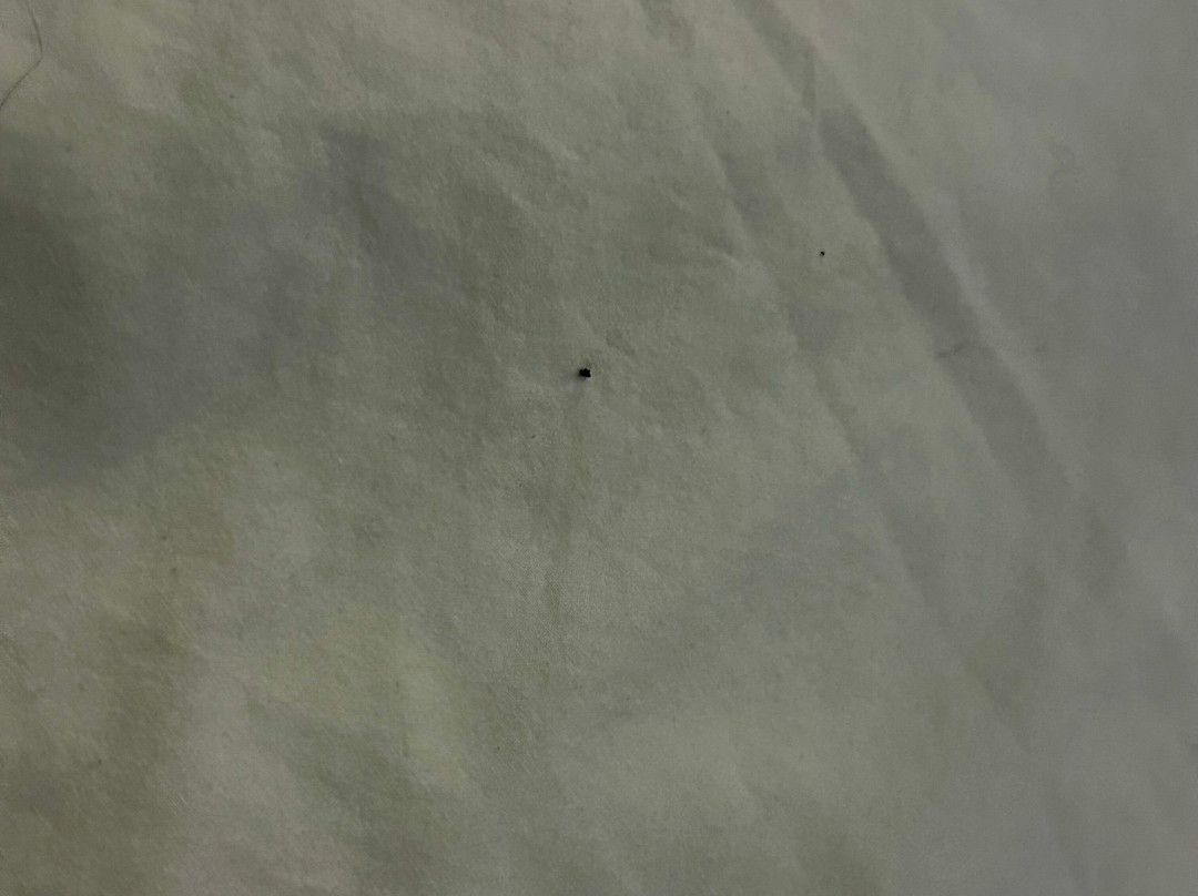 Suburban Studios LaVale - Cumberland主图