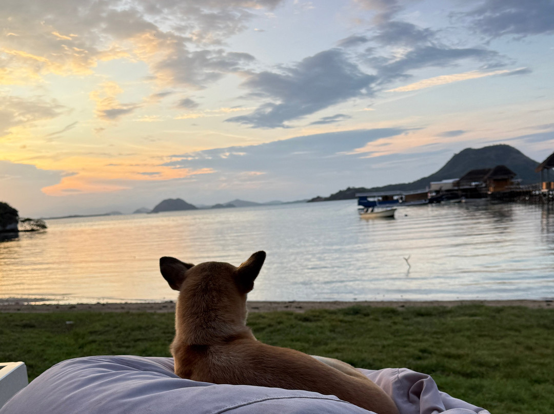 Scuba Junkie Komodo-Labuan Bajo必去景点