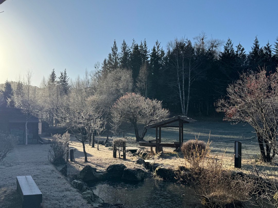 Tsutaya Tokinoyado Kazari主图