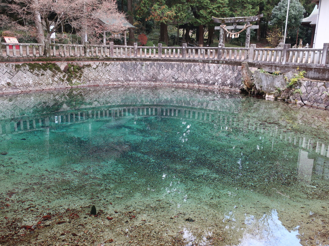 別府弁天池湧水-美祢市必去景点