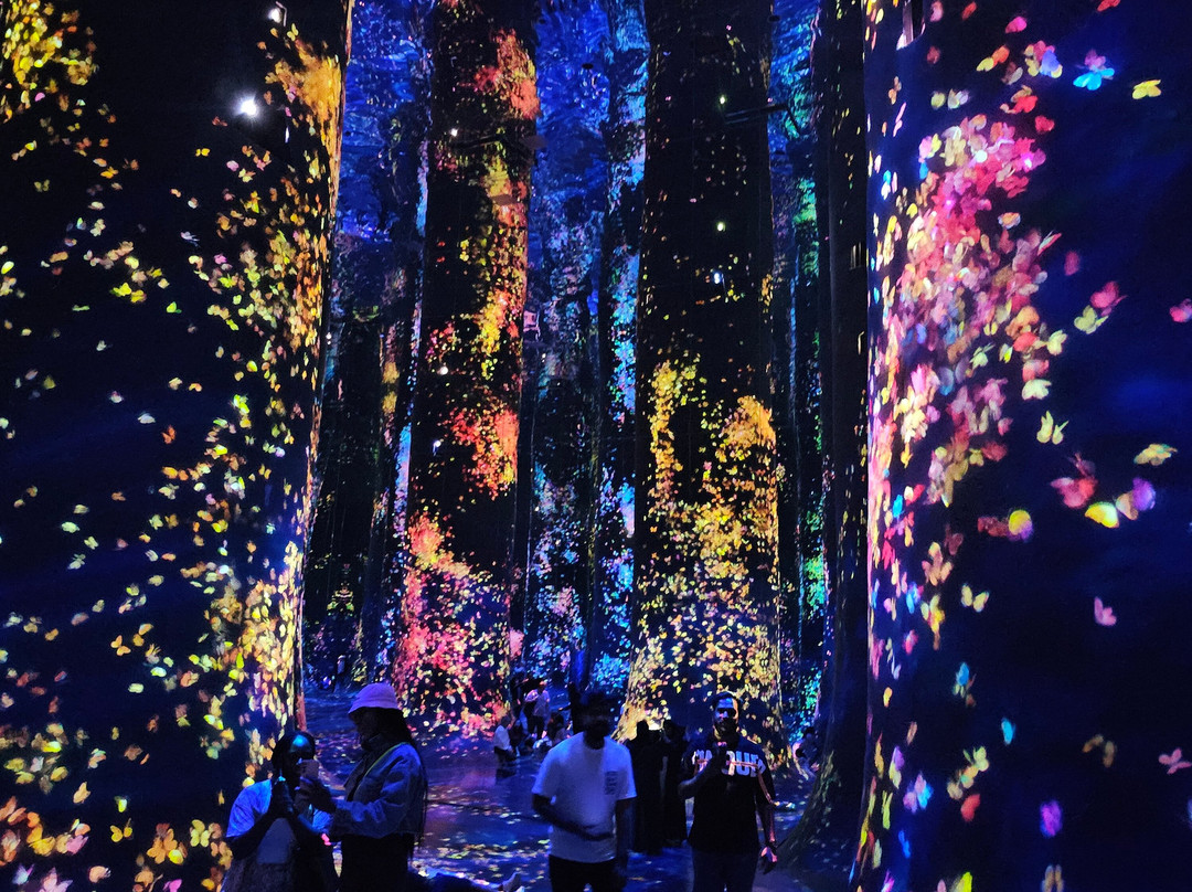 teamLab Phenomena Abu Dhabi-阿布扎比必去景点