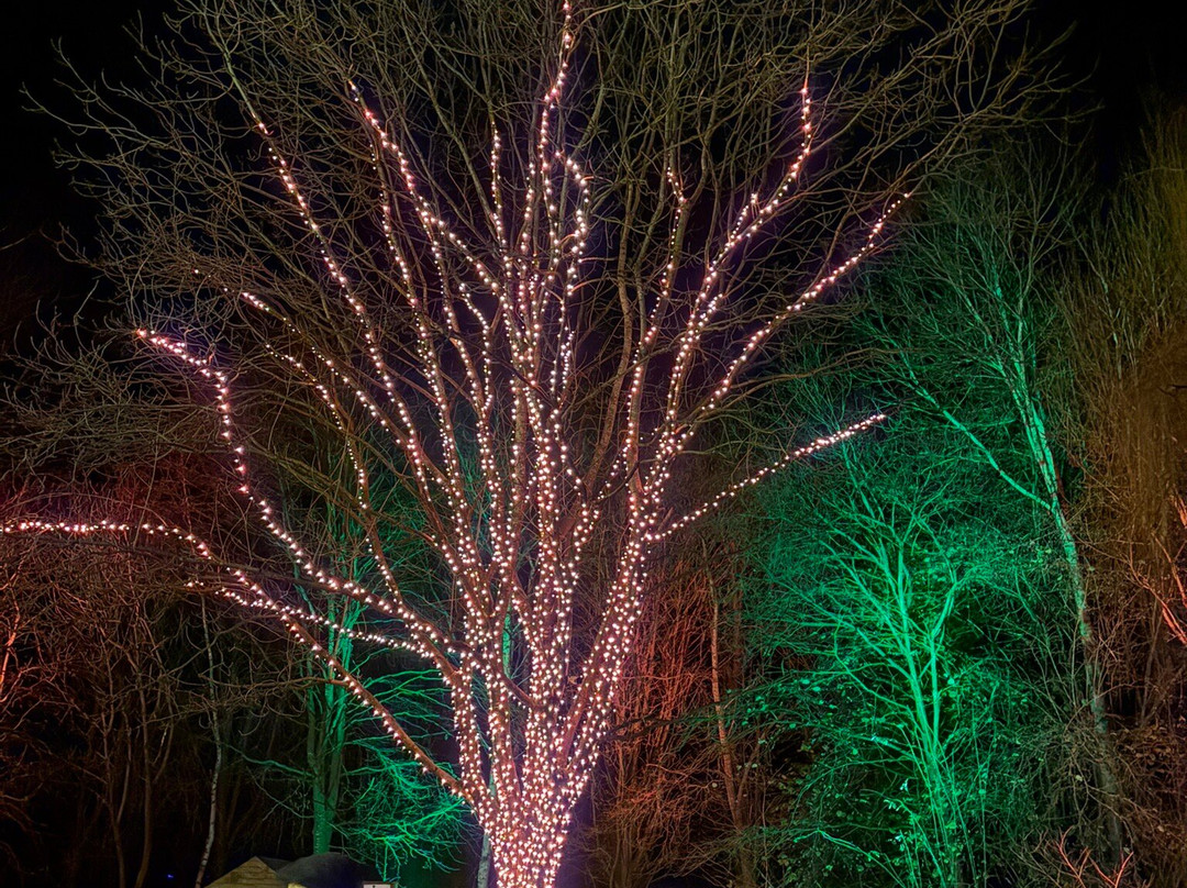 Heritage Wood-阿什伯恩必去景点