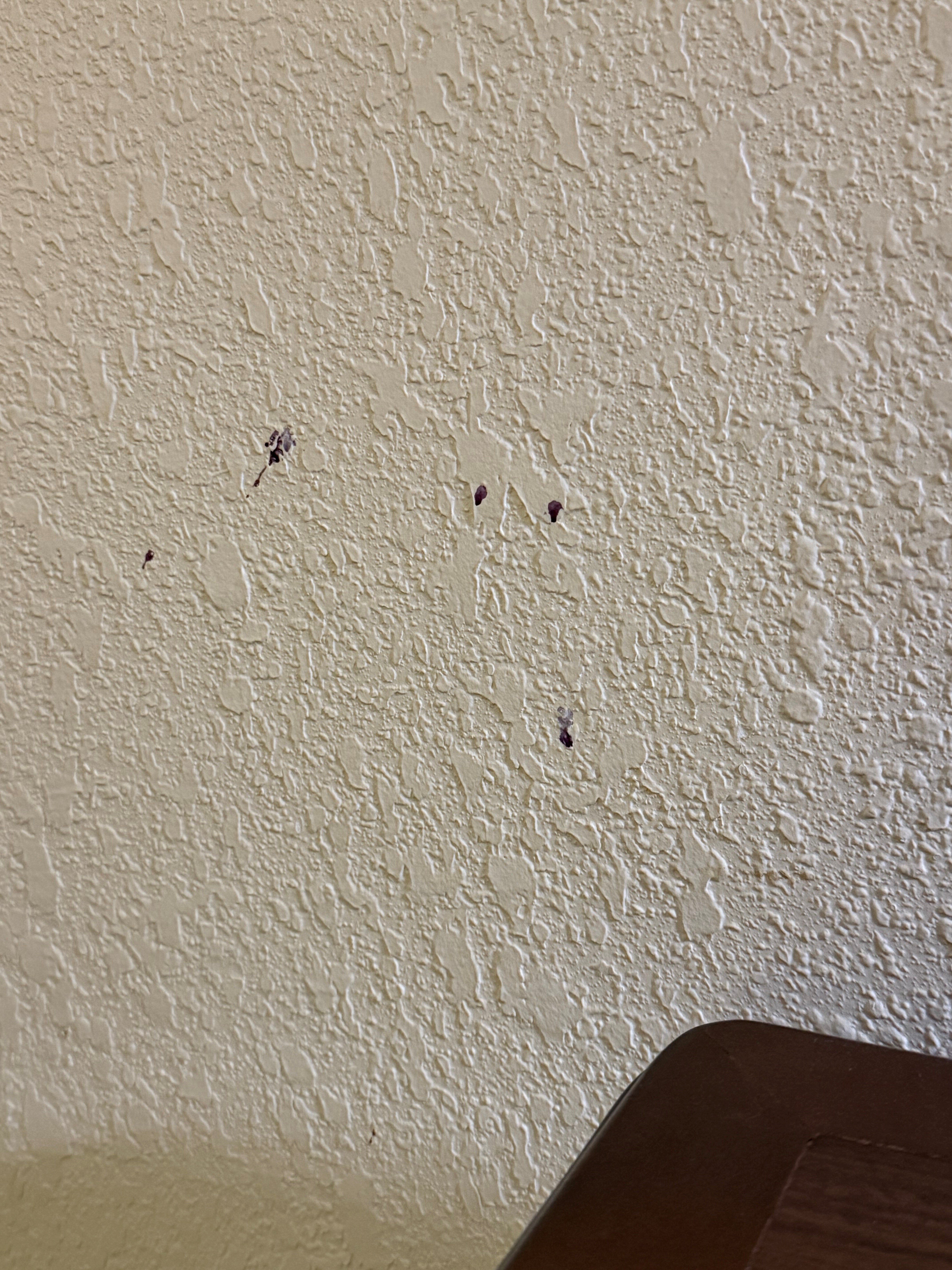 里奇蒙茵斯布鲁克希尔顿花园酒店-客卧