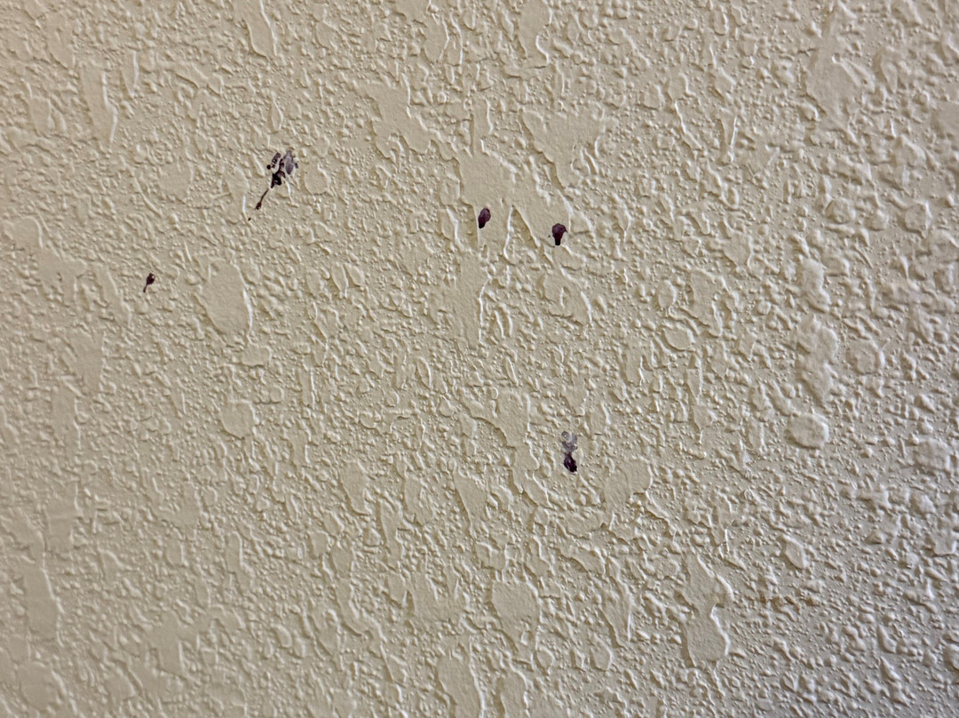 里奇蒙茵斯布鲁克希尔顿花园酒店主图