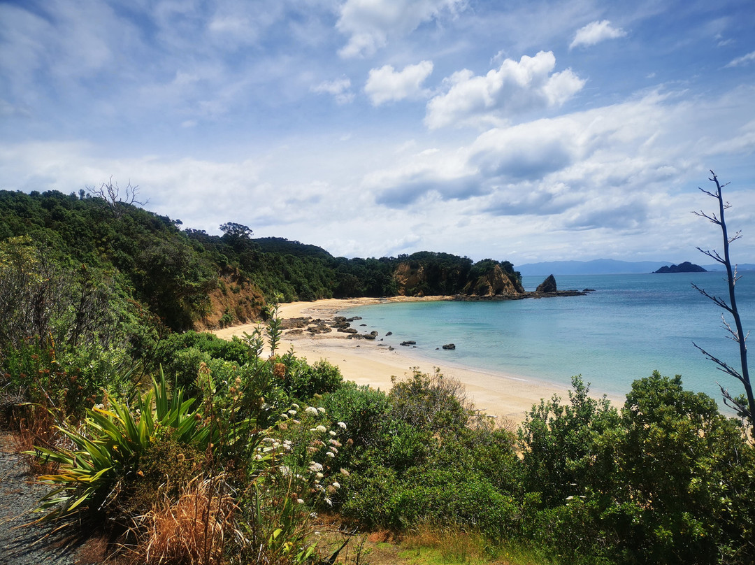 Rotoroa Island-奥克兰必去景点