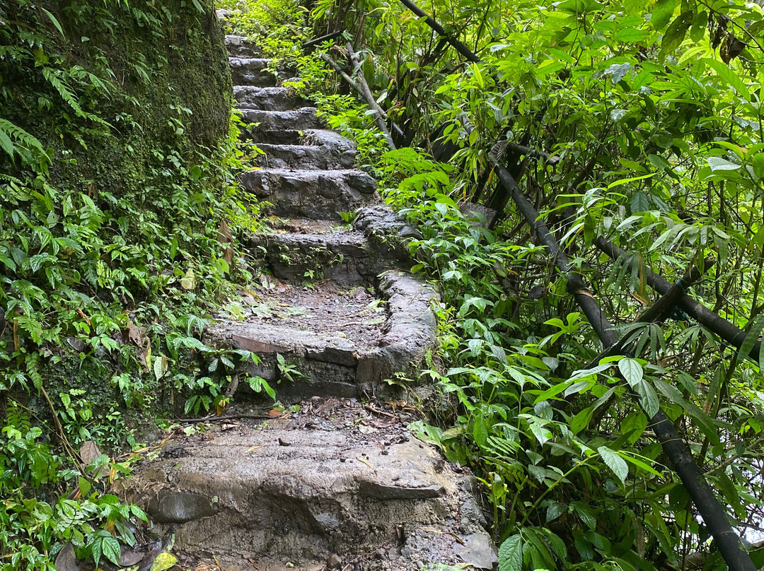 Sekumpul Waterfall Tour-新加拉惹必去景点