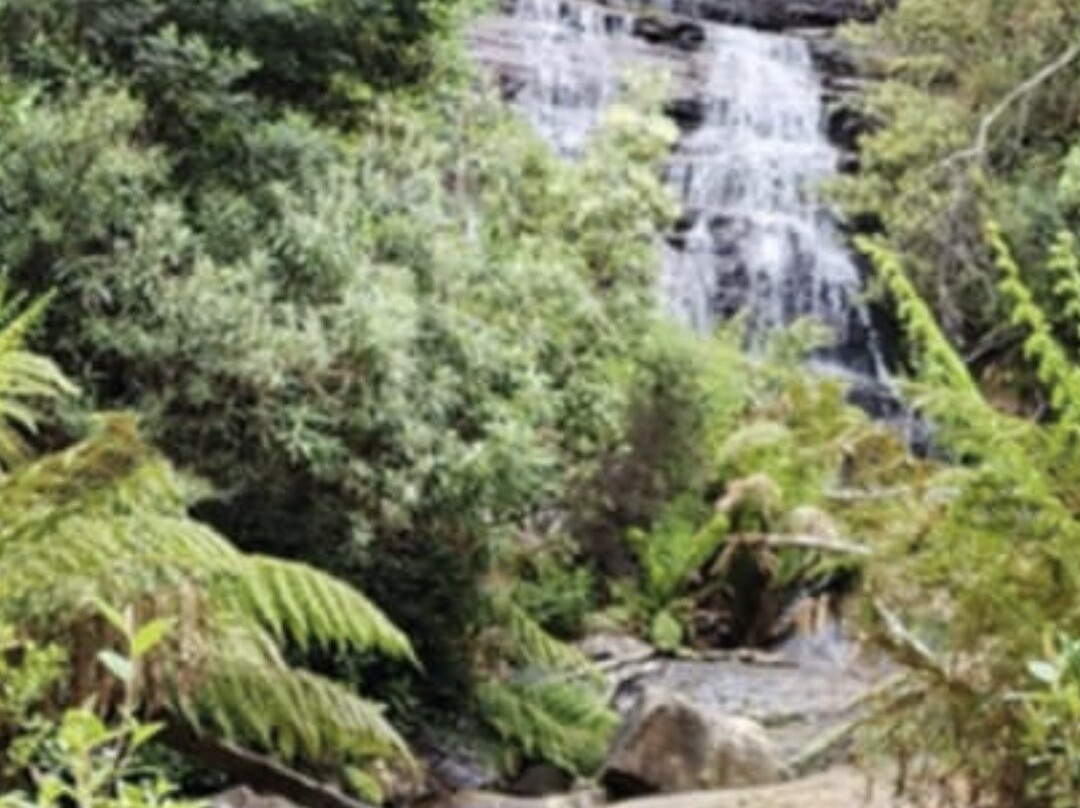 Westmorland Falls-茉莉溪必去景点