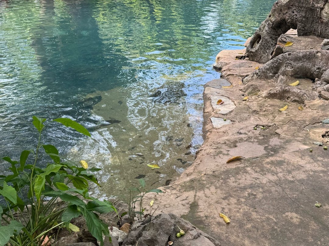 Mystic Embrace-Chacala必去景点