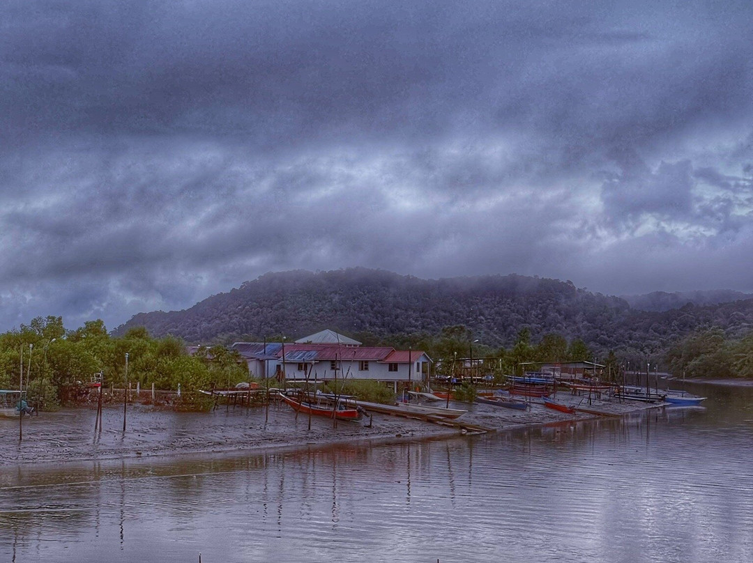 Bako National Park-古晋必去景点