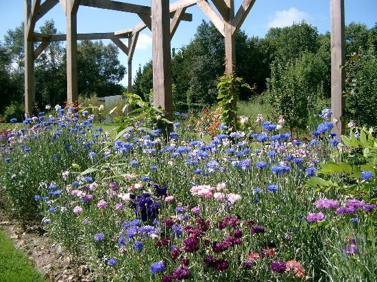 La Maison de Lavande主图