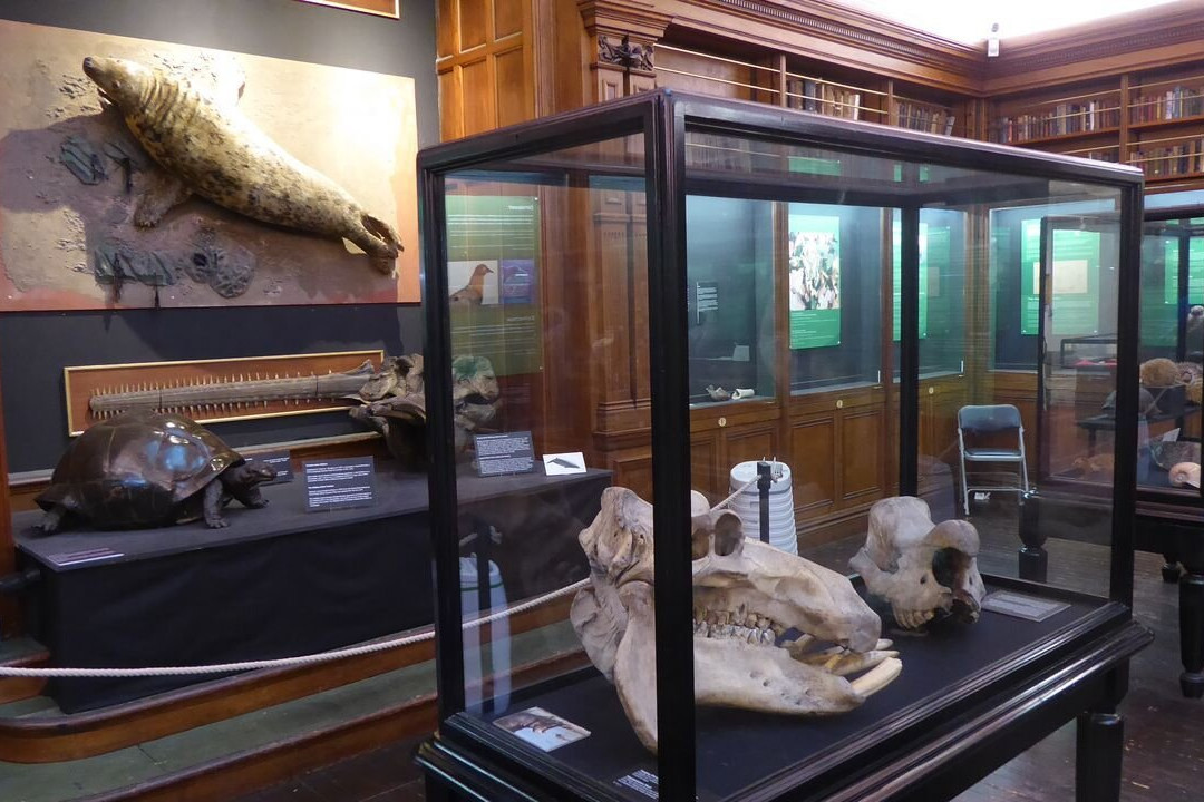 Swansea Museum-斯温西必去景点