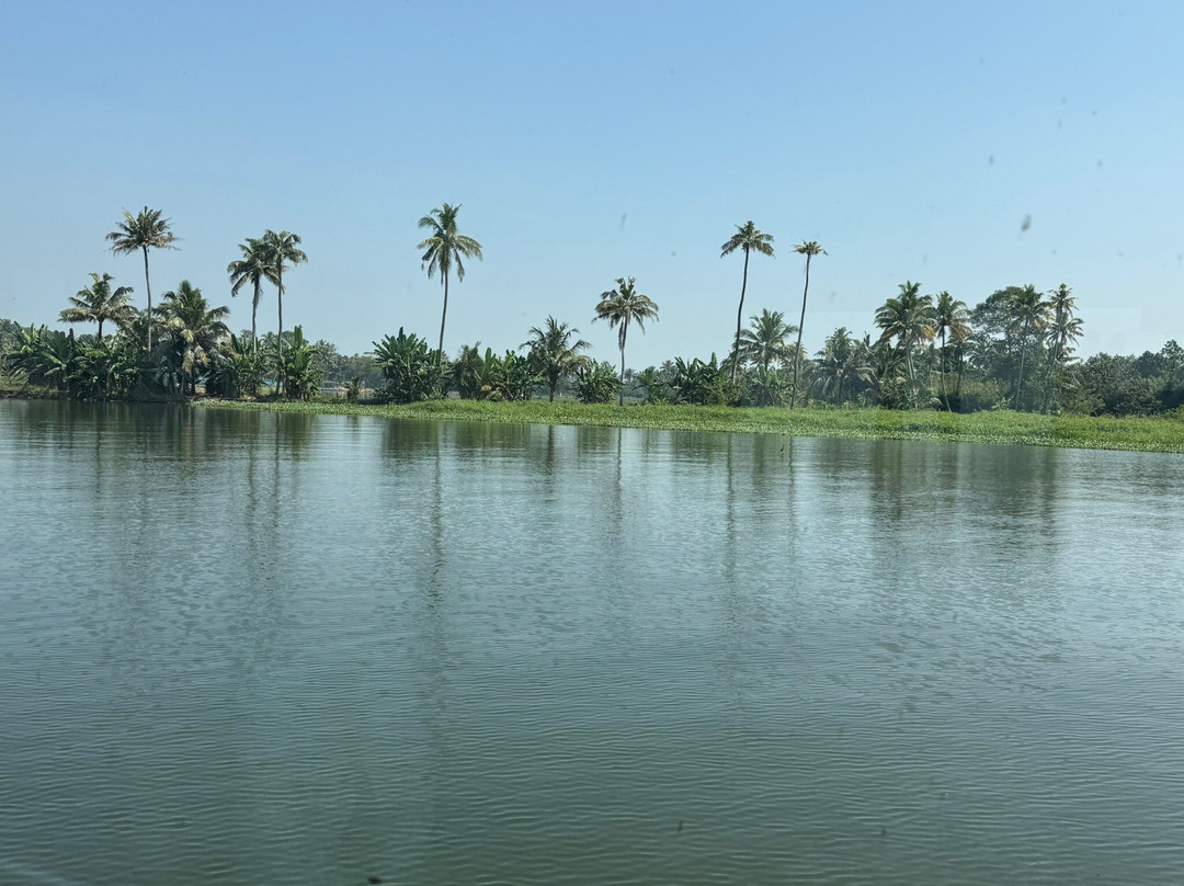 Kochi Taxi 24X7-柯钦必去景点