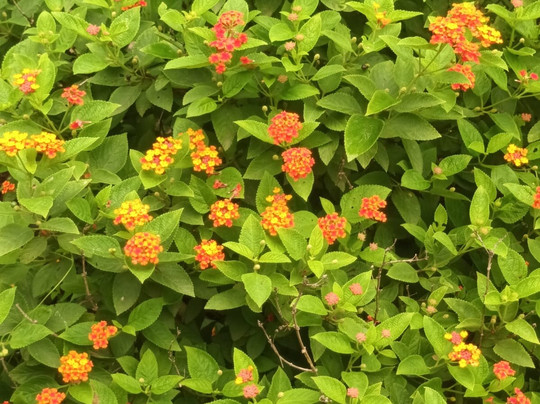 Tillus Agro Tourism-Solapur必去景点