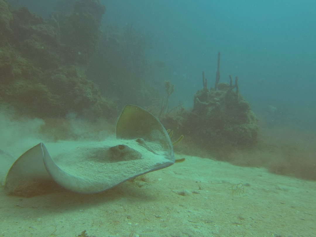 Seaklub la Romana-拉罗马纳必去景点