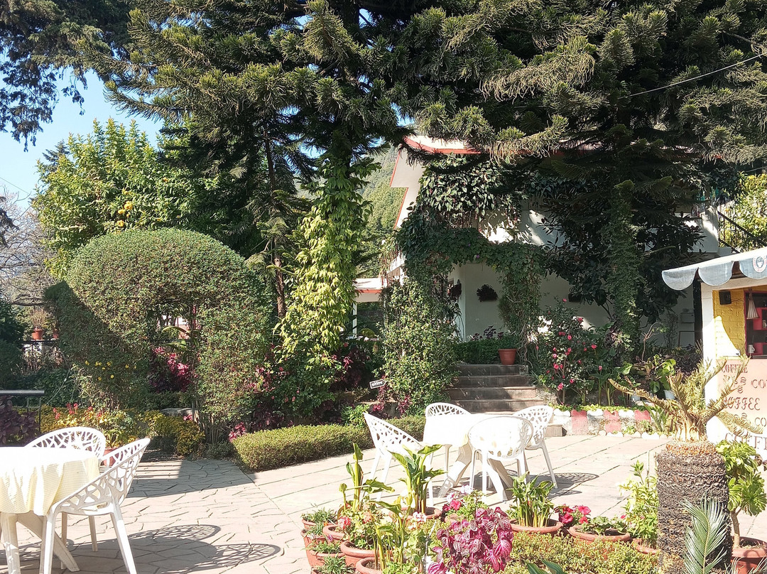 8fold-pinecrest By Larisa, Bhimtal主图