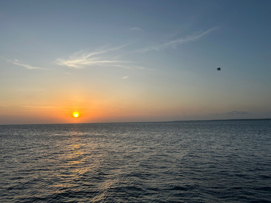 Safari Shwari Mafia Island-Utende必去景点