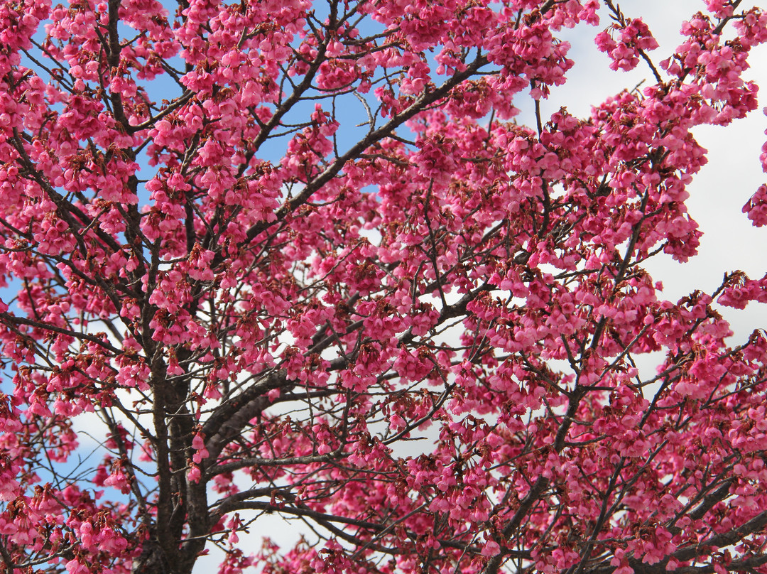 Hamburgo Velho-新汉堡必去景点