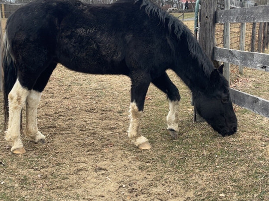 WhistleWood Farm Bed and Breakfast主图