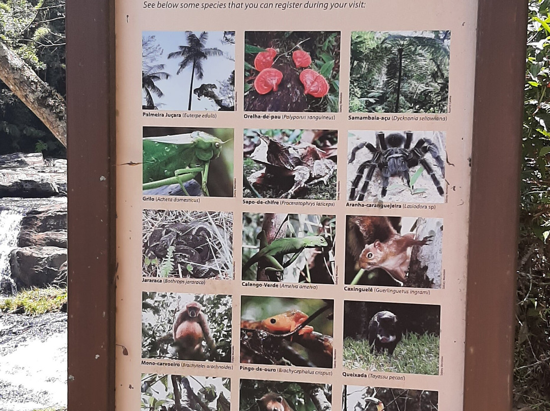 Parque Estadual da Serra do Mar-Cunha必去景点